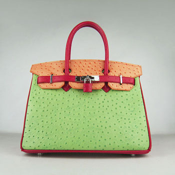 Hermes Birkin 30Cm Ostrich Stripe Handbags Red/Orange/Green Silv